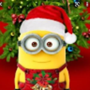 Meet your Posher, Liam